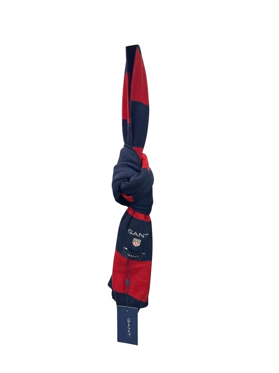 Men's Red and Navy Blue Striped Scarf